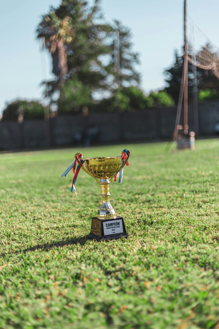 The Book of World Records Trophy